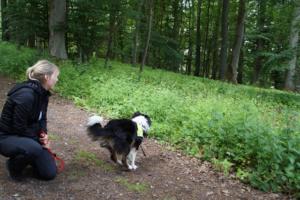 Training 24.05.2020 – Bechlingen 71